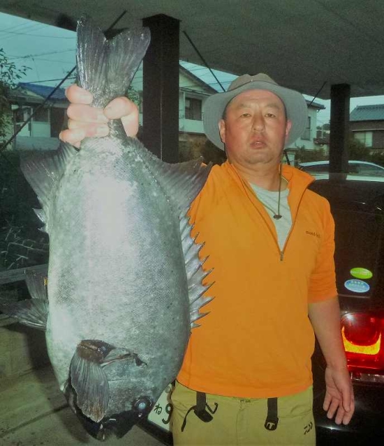 石鯛ベルト（オーダー作成）石鯛　大物　フィッシング アトミックスライダー投オレンジ7号でデカバン70㎝オーバー石鯛2